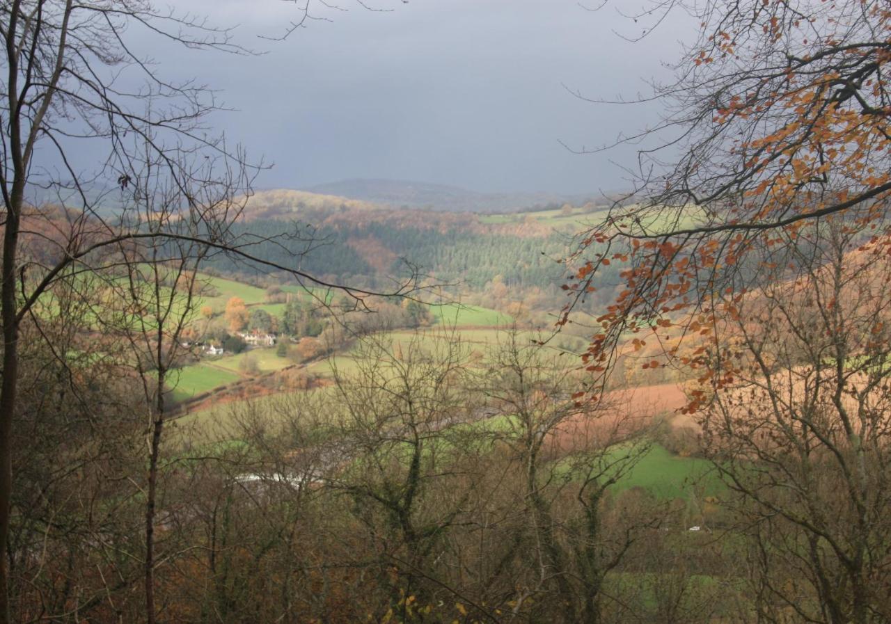 Sunnyview Annexe Villa Saint Briavels Exteriör bild