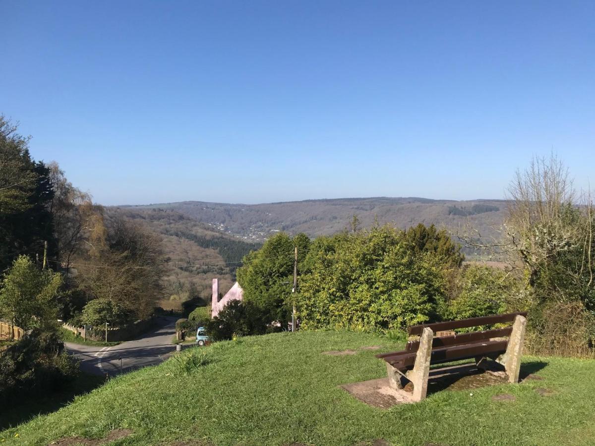 Sunnyview Annexe Villa Saint Briavels Exteriör bild
